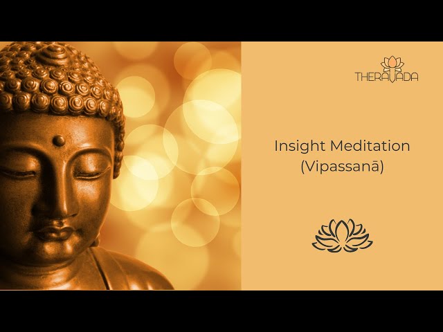 Insight Meditation (Vipassanā) – 23.08.2020