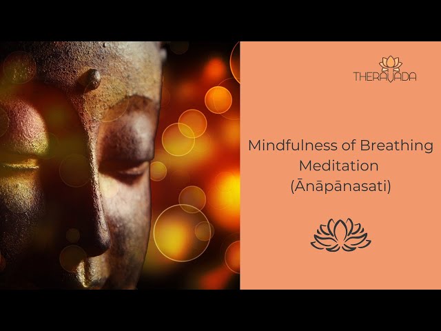 Mindfulness of Breathing Meditation & on Friendliness (Ānāpānasati & Mettā) – 08.11.2020